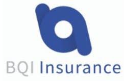BQI Insurance logo